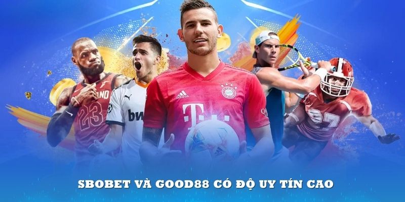 Sbobet là đối tác uy tín trên thị trường cá cược hiện nay